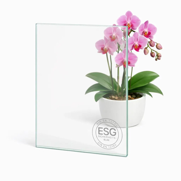 ESG 8mm Klarglas