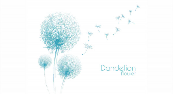 Küchenrückwand DANDELION